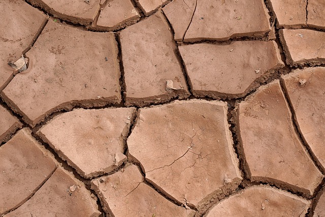Estudo aponta que mudanças climáticas e fenômeno El Niño contribuíram para o rápido fortalecimento de furacão no México